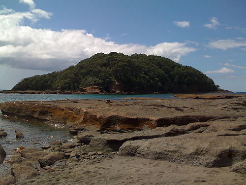 Goat Island Marine Reserve- New Zealand