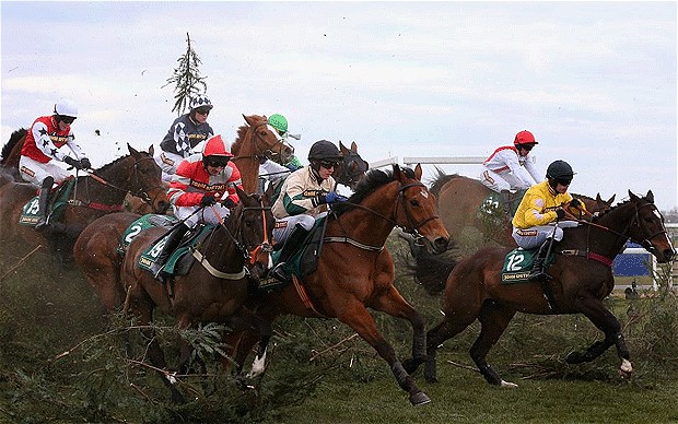 grand national 2013