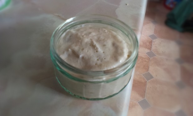 gooseberry and rhubarb fool