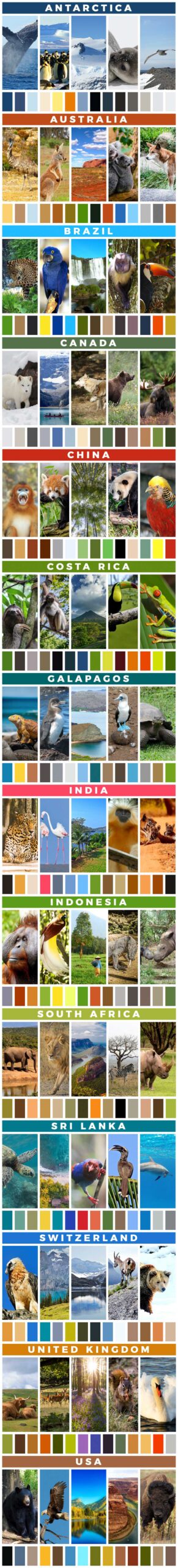 Wildlife travel