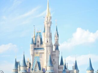 castle in amusement park on sunny day