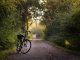 Five Natural Ways to Boost Your Health
