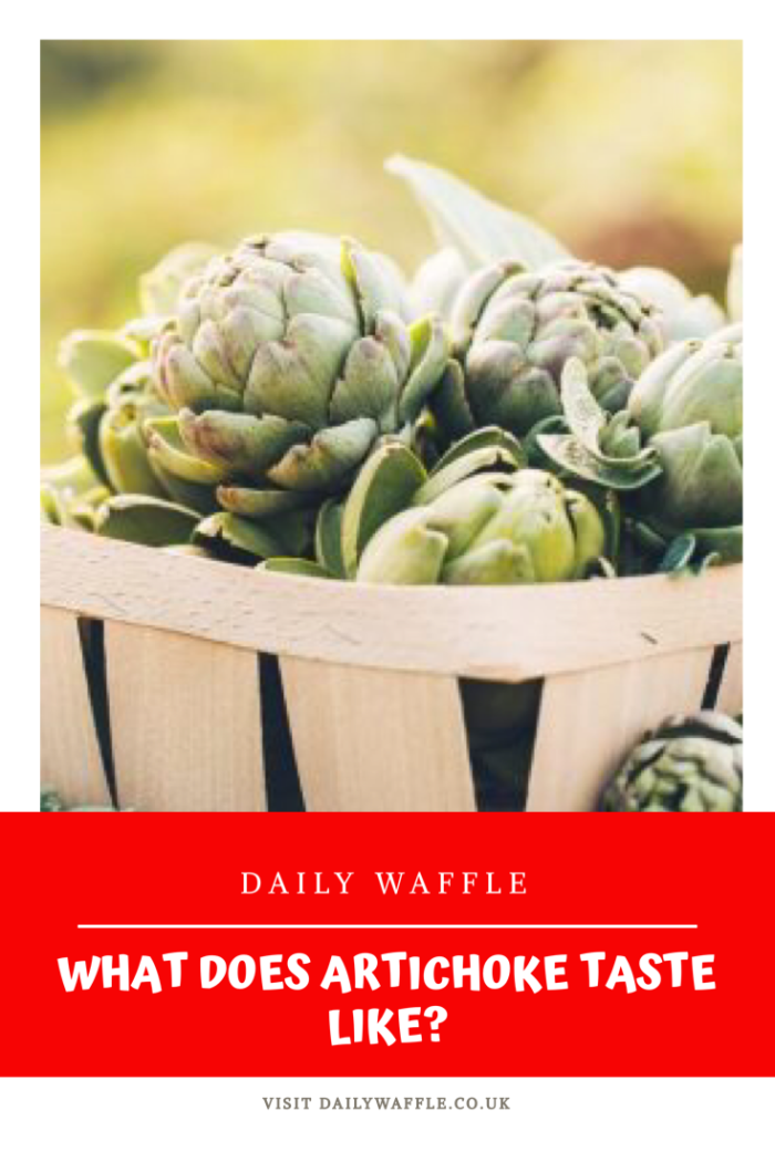 what doe artichoke taste like