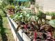 Gardener friendly cities