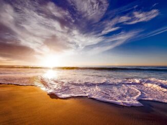 seashore under white and blue sky during sunset - accessible beaches