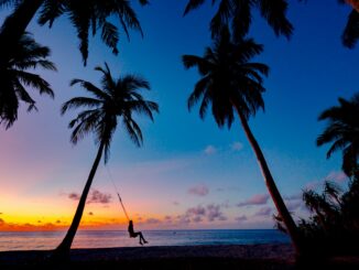 silhouette of a person on a swing