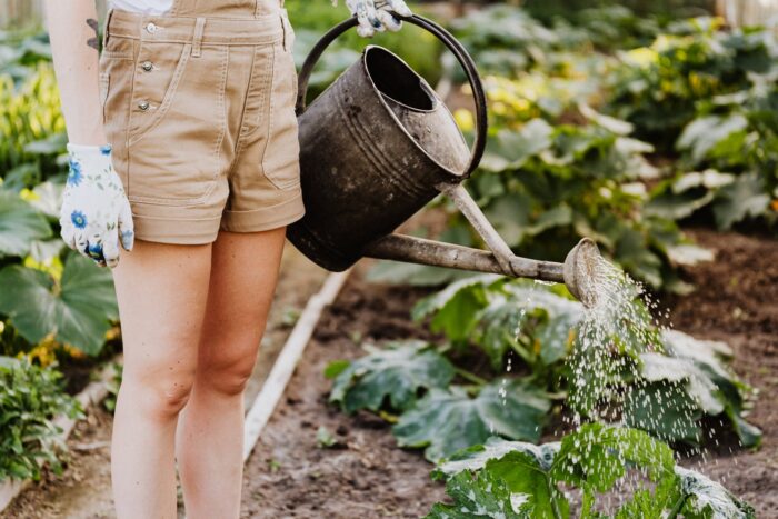 person in brown shorts watering the plants - what are you looking for in a new home?