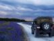 black suv in between purple flower fields