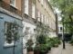 green potted plants near building