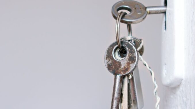 gray keys - How to Get a Broken Key Out of a Lock