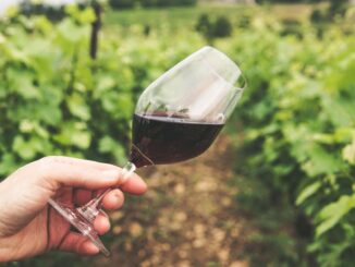 drink with clear glass cup - wine museums