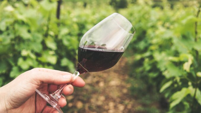 drink with clear glass cup - wine museums