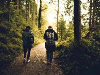 two people walking in the forest
