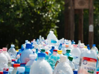 assorted plastic bottles