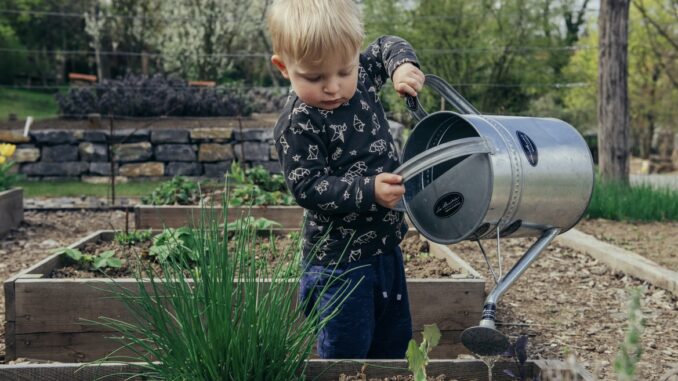How you can teach your children about sustainability from recycling experts