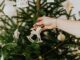 Over 2 million Brits make the naughty list and admit to cheating on their partner at a work Christmas party person holding rocking horse christmas ornament