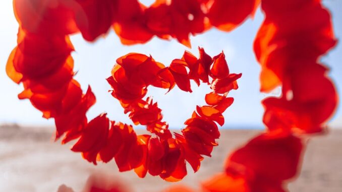 A lockdown love story... red flower on white sand