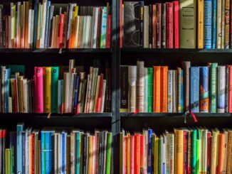 The best UK trips for book lovers revealed: Literary hotspots from Oxford to York -books in black wooden book shelf