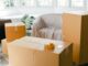 empty apartment with packed carton boxes before moving
