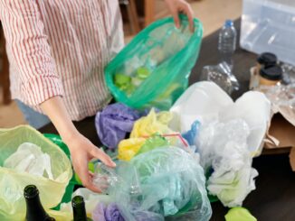 a person sorting plastic wastes