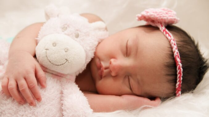 baby sleeping with animal plush toy