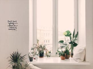 photo of green leaf potted plants on window and stand