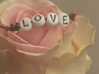 Valentine’s Day