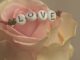 Valentine’s Day