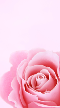 Valentine Aesthetic wallpapers