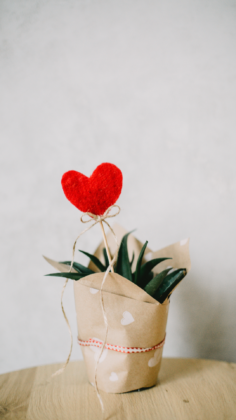 Valentine Aesthetic wallpapers