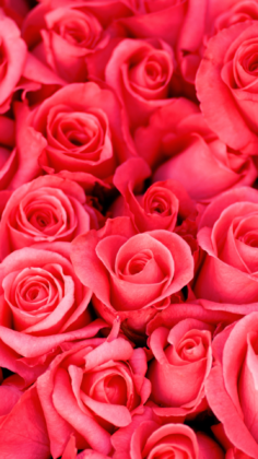 Valentine Aesthetic wallpapers