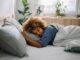 Tips for sleeping in a heatwave