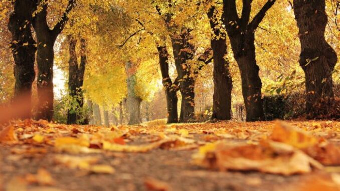 30 things from september