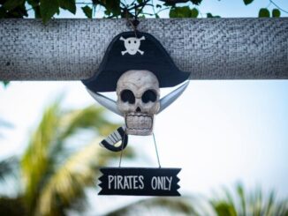 Facts about pirates