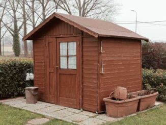7 shed storage mistakes to avoid this summer