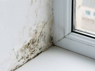 STOP opening a window after a shower to prevent mould growth