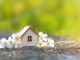 I’m a Property Renovation Expert: Here’s The Top Five Jobs You Should Do In Your Home This Summer