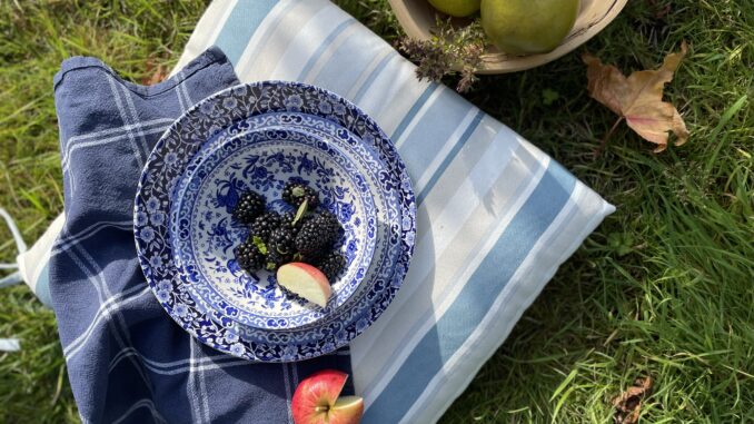 Guide to blackberry picking and recipes to try