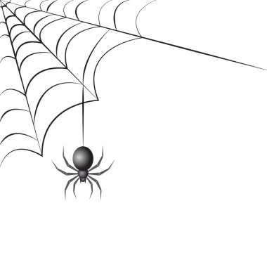 Spider Season: Natural and Eco-friendly 10p Hack to Keep Spiders Out of Homes