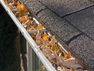 Expert Shares Simple DIY Jobs To Do Before Colder Months Arrive 