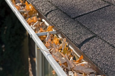 Expert Shares Simple DIY Jobs To Do Before Colder Months Arrive 