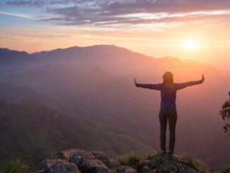 Female solo travel searches surge 69% in three years