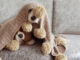 Petplan shares tips for keeping pets calm this fireworks season