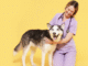 Why Dogs Are the Ultimate Boost for Your Wellbeing