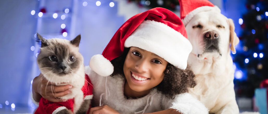Brits ensure a joyful Christmas for their pets, as half spend £37 on festive gifts