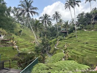 Gap 360 launches new tours in Bali and Southeast Asia for 2026