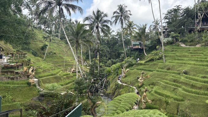 Gap 360 launches new tours in Bali and Southeast Asia for 2026