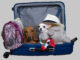 Expert warns that pets are not allowed on this type of travel but there’s one exception