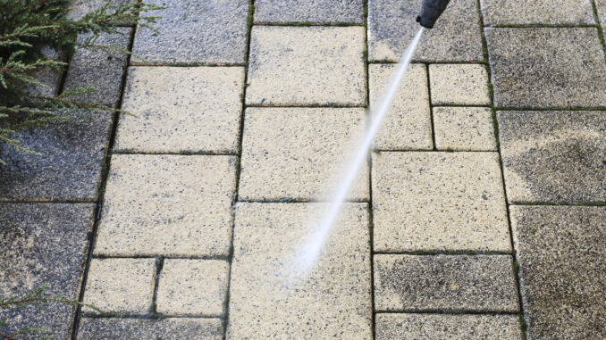 Gardens plagued by white fungi could cost homeowners £4,500 in repairs