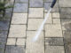 Gardens plagued by white fungi could cost homeowners £4,500 in repairs